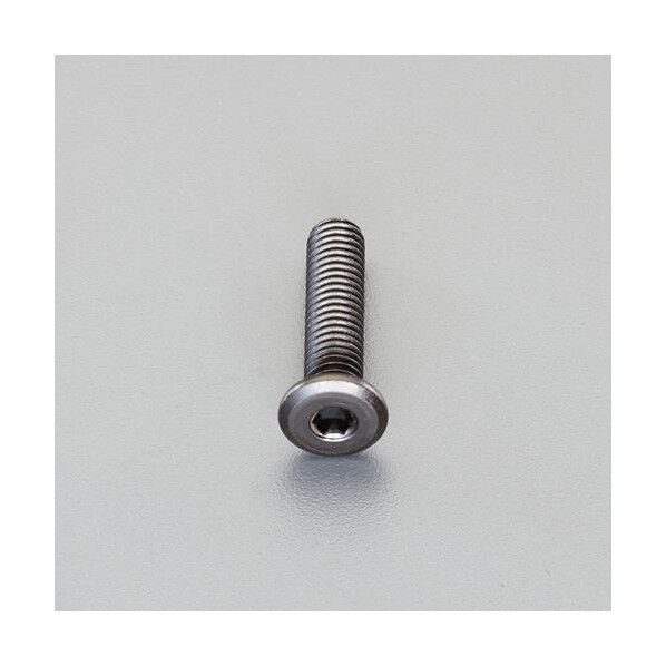 M4 x10mm 六角穴付ボルト超低頭