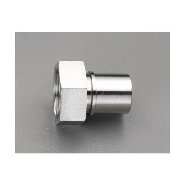 雌ねじホースステム(ステンレス製) G3/4 EA462ED-6