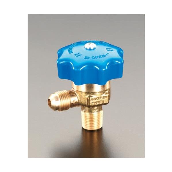 1/4NPTx3/8Fパックレスバルブ