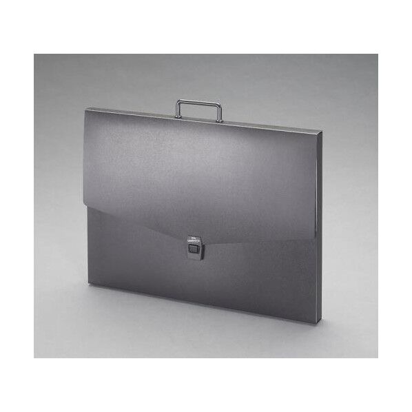 B3/390x540mm デザインケース