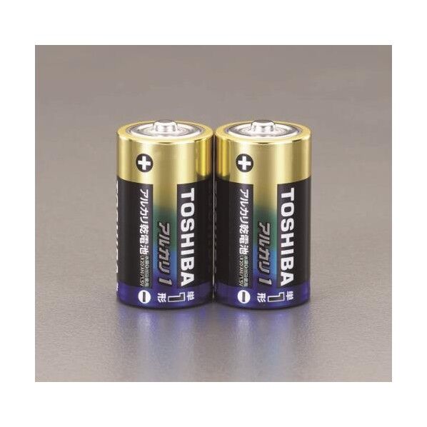 [単1x 2本] アルカリ乾電池 EA758YT-11B 2個