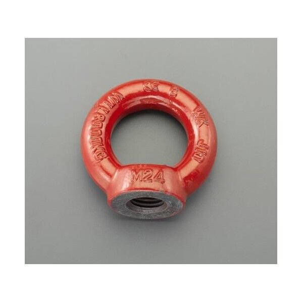 M20 アイナット(高純度・熱処理スチール製)