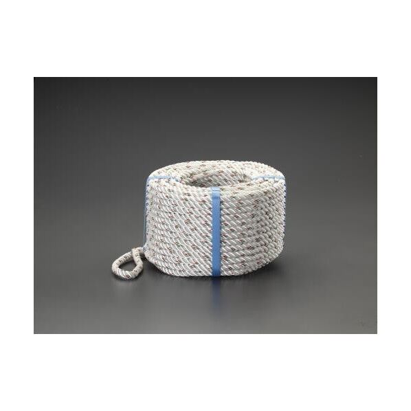 ナイロンロープ(両側アイ加工) 14mmx30m EA628MC-141A 1個