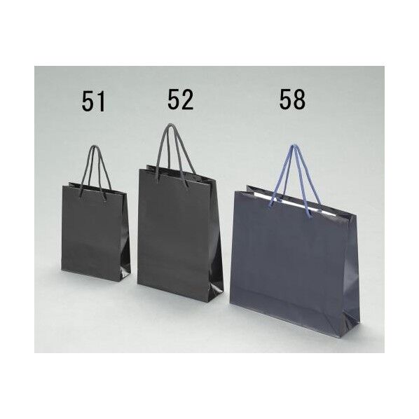 330x100x300mm ファンシーバッグ(黒/10枚)