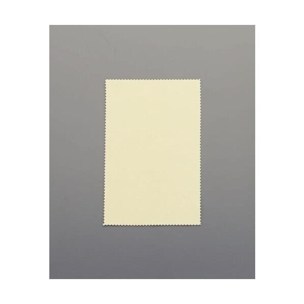 125x195mm 貴金属用磨きクロス(研磨材入り) EA929DC-5 1個