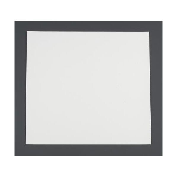 500x500mm 虫よけ粘着シート EA941B-101 1個