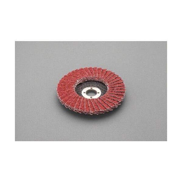 ペーパー砥石ディスク 100mm/#36 EA809MC-20 1