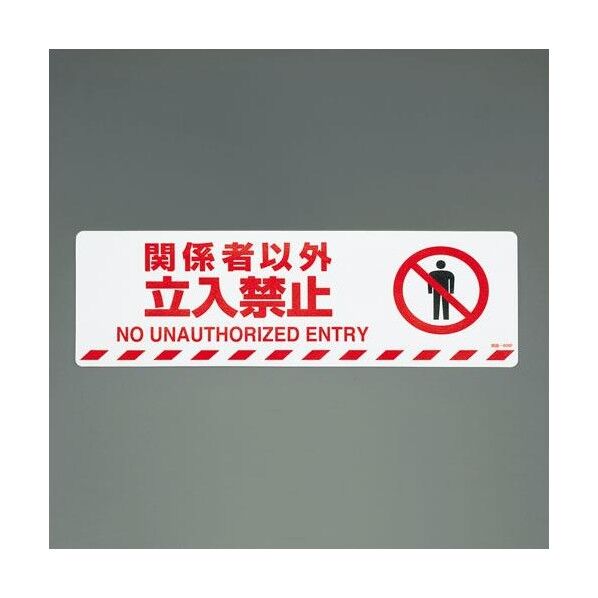 路面道路標識(関係者以外立入禁止)