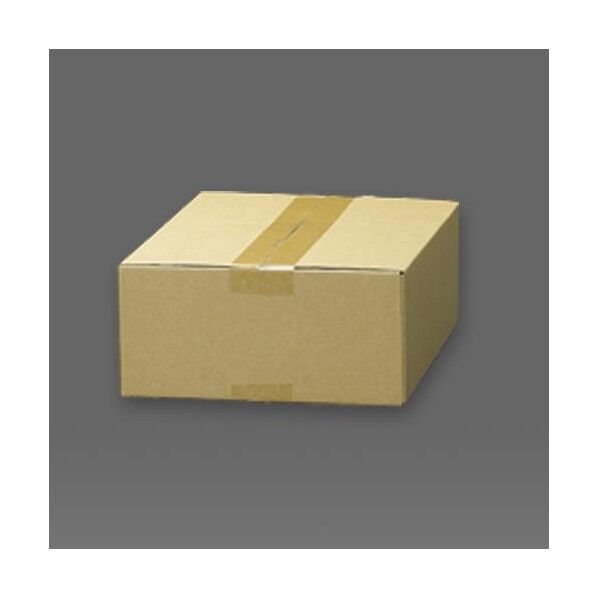 310x220x100mm/A4 ダンボール(無地/20枚)