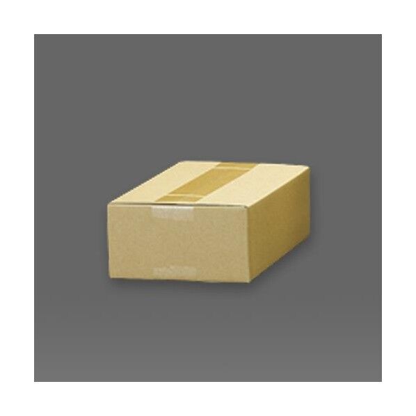 240x160x130mm/A5 ダンボール(無地/20枚)