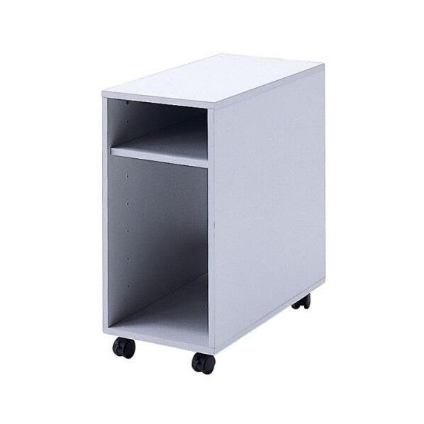 300x600x620mm CPU収納キャビネット