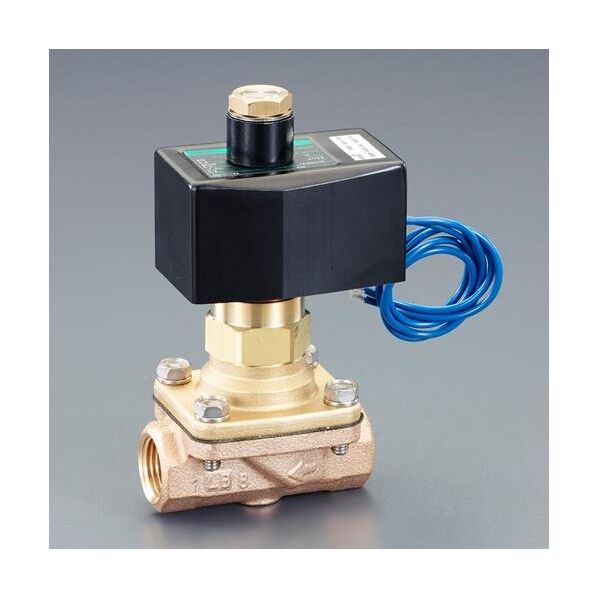 AC100V・Rc 1インチ 2方向電磁弁(パイロットキックシキ)(オ