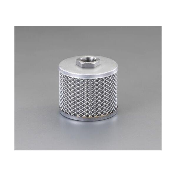 #100 ストレーナー