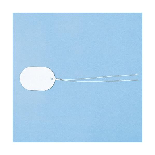 37x55mm ファイバータグ・楕円(L/10個) EA475HB-33 1袋