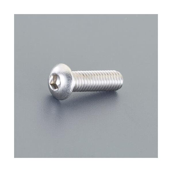 M6 x20mm 六角穴付鍋頭ボルト(ステンレス製/2本) EA949HH-25 1本