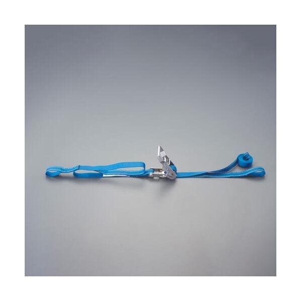 ※法人専用品※エスコ 25mmx 6.0m/ ベルト荷締機(両端アイ/SUS) EA982SD-6 1個