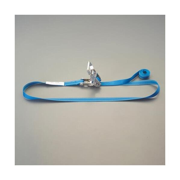 25mmx 3.0m/ 509kg ベルト荷締機(エンドレス/SUS) EA982SE-3 1個