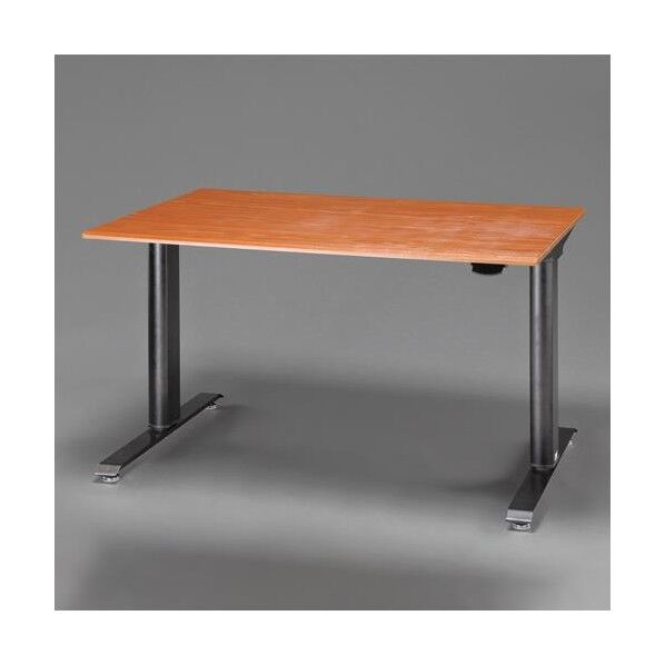 1219x749x699-1130mm 昇降式立ち作業用デスク EA954HG-37 1台