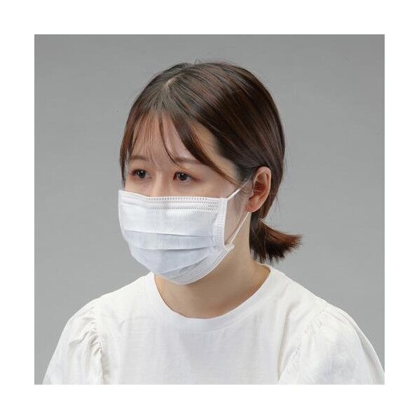 ※法人専用品※エスコ 簡易防臭マスク(プリーツ型/20枚) EA800MF-49 1箱