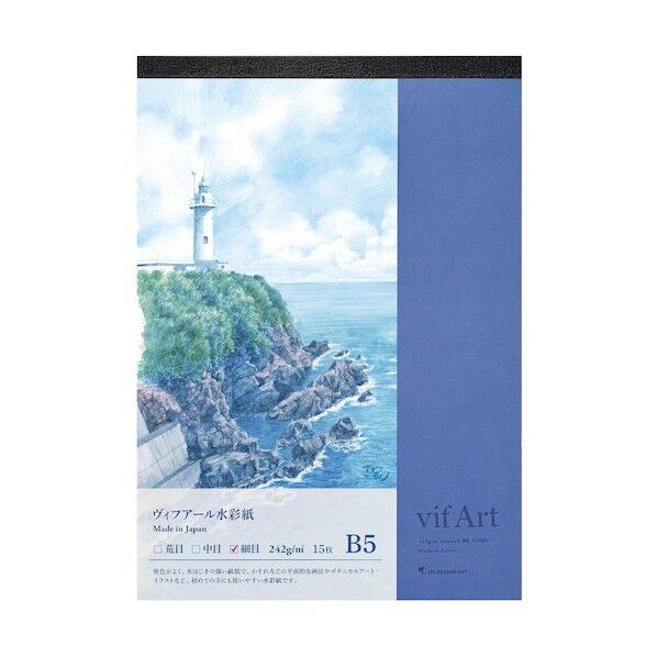 B5 スケッチパッド ヴィフアール 細目 S308V 1点x10冊