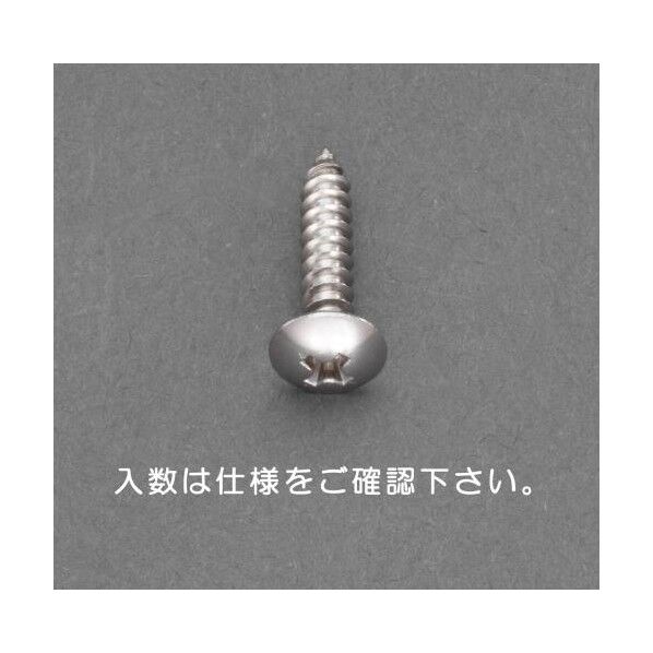 トラス頭タッピングビス(ステンレス)