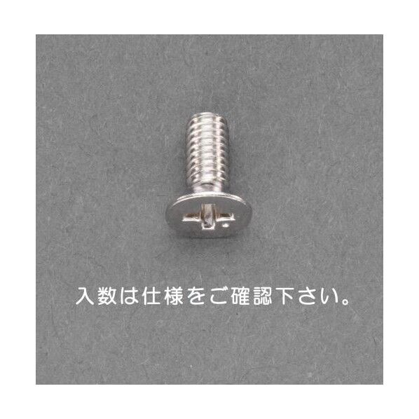 M2×6mm 皿頭小ねじ(真鍮)