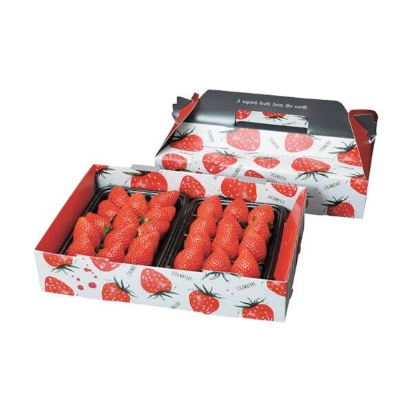 PS手提箱 イチゴ 2P