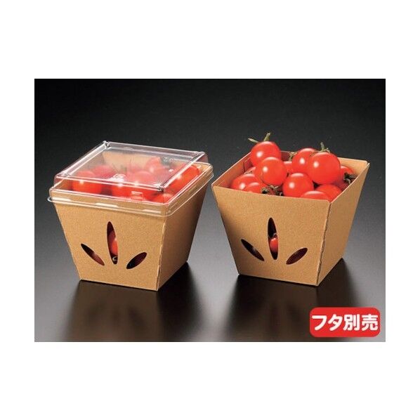 テ-パ-ボックス11-11 未晒 588642 1点x200枚