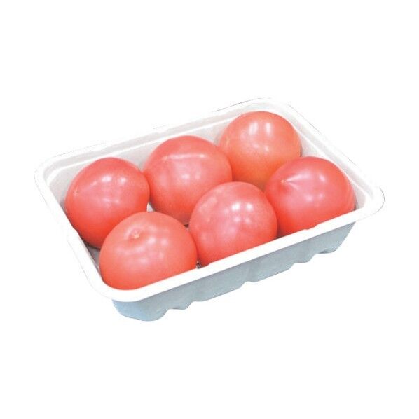 BBボックス 617494 1点x400枚