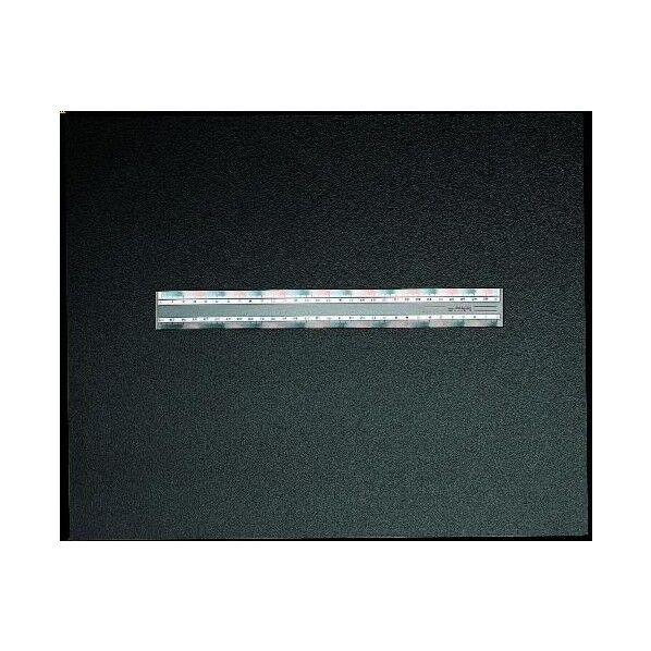 定規 16cm EA720YG-16
