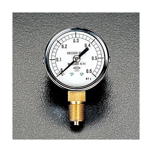 50mm[0-0.6MPa]圧力計 EA729BA-6 1