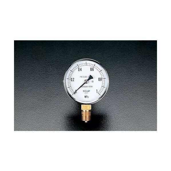 75mm[0-1.0MPa]圧力計 EA729BC-10 1