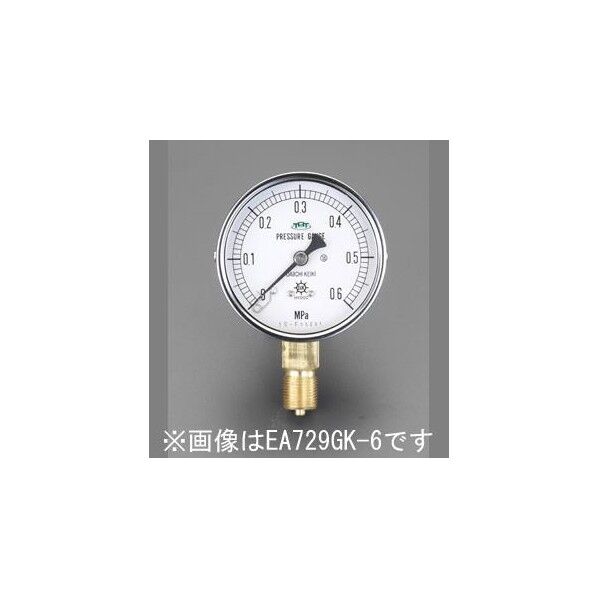 100mm[0-3.0MPa]耐脈動圧型圧力計