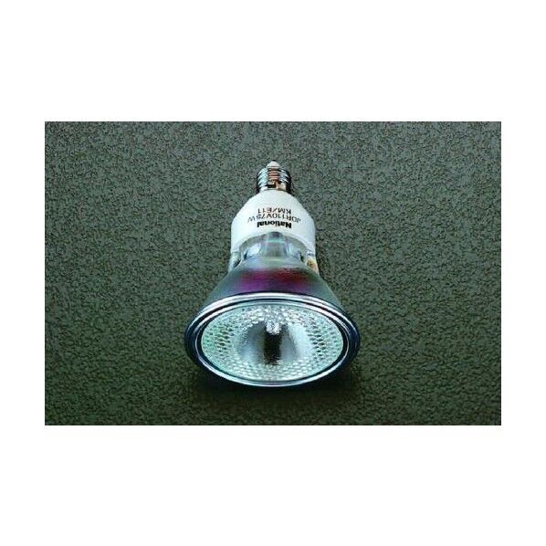 110V/65Wハロゲン電球(一般用) EA758XK-12 1