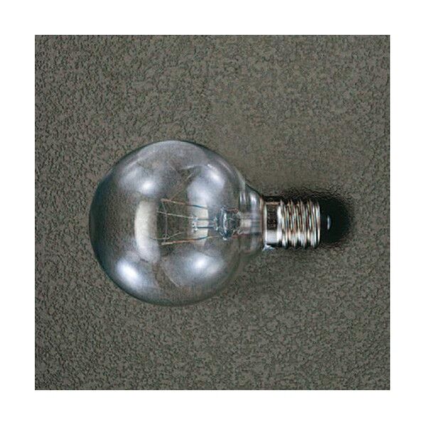 100V/24Wボール電球 クリアー EA758XR-1A 1