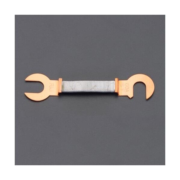 60A/55mm銅つめ付ヒューズ EA758ZP-6 2本