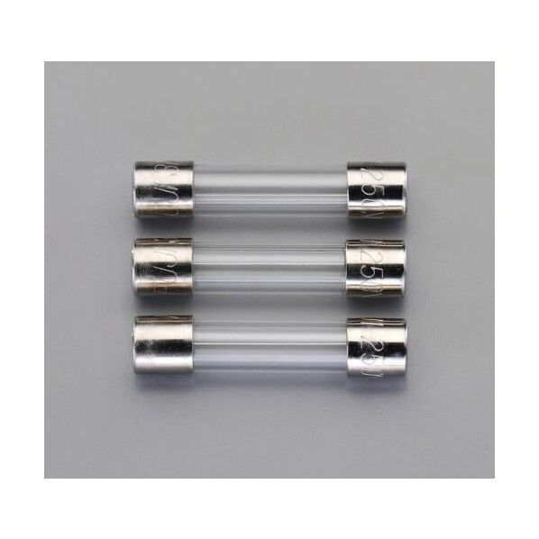 250V/10A管ヒューズ[速断型]