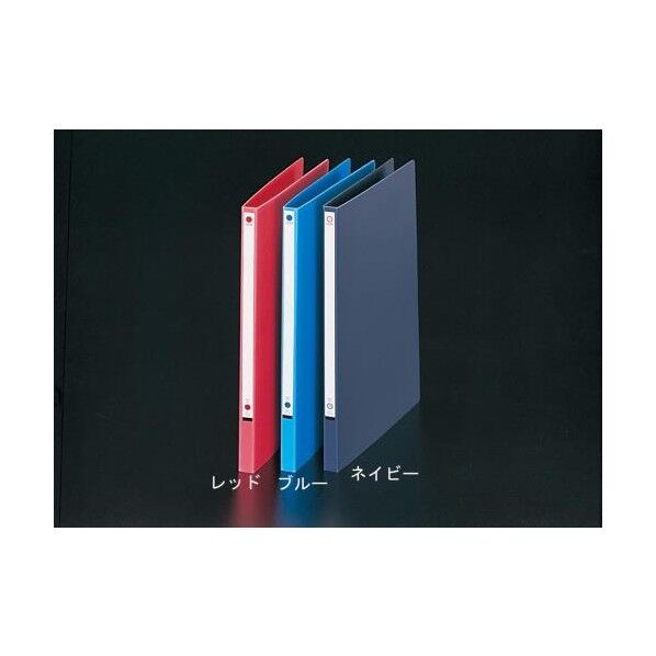 パームファイル レッド EA762CF-41B