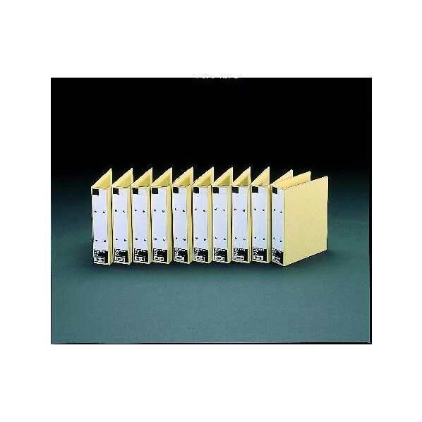 パイプ式保存ファイル(10冊)