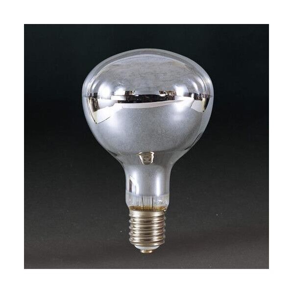 300W交換用レフ球