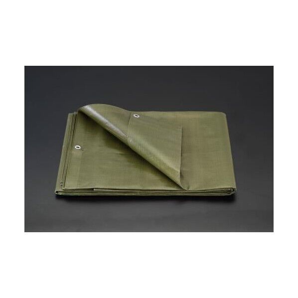 5.4x5.4m[ODgreen色]シート