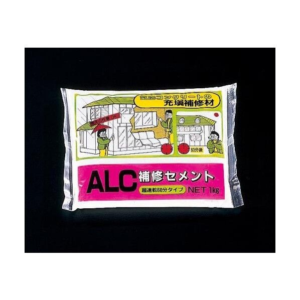 1kg[ALC補修]セメント EA934KB-5 1