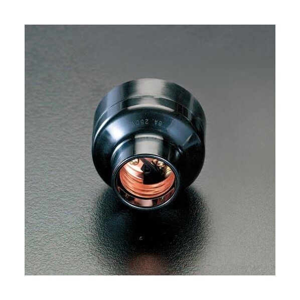6A/250Vレセップ