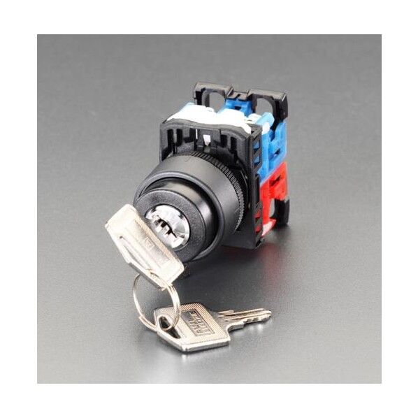 22/25mmキー操作型スイッチ EA940D-111