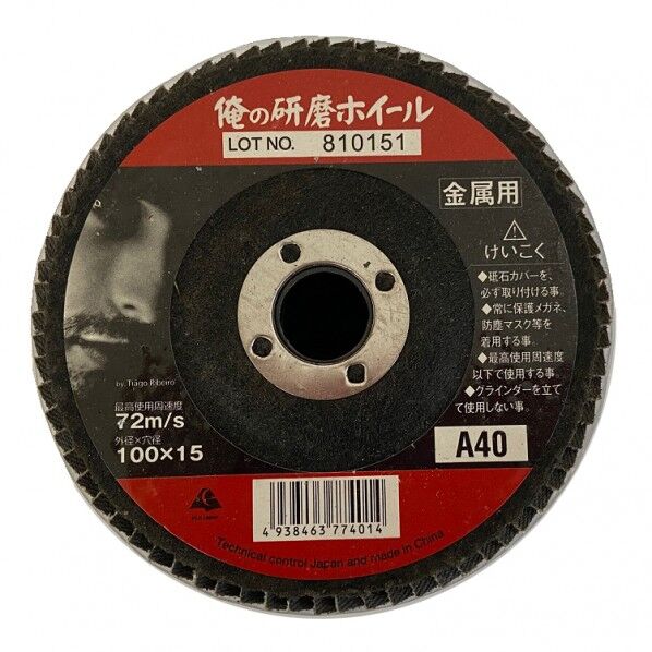 研磨ホイール 100X15A40 10P