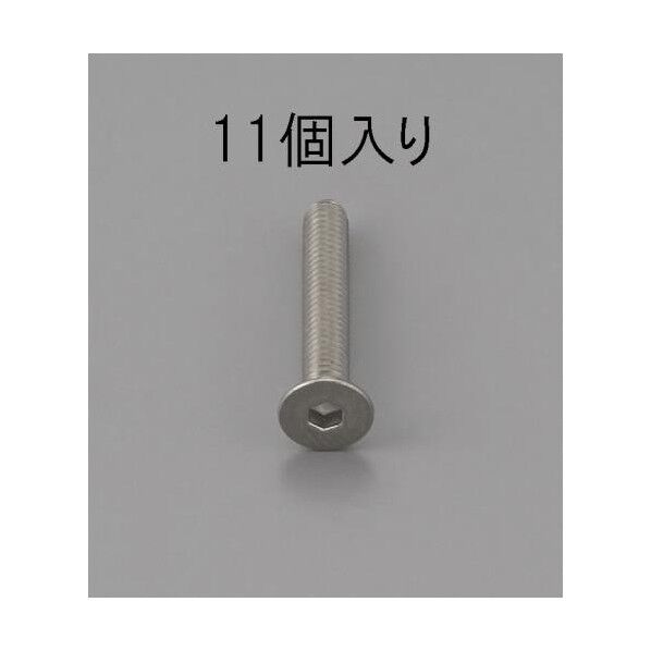 M6x8mm[ステンレス]六角穴付サラボルト(11コ)