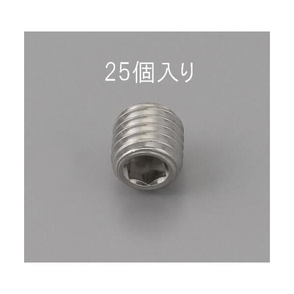M5x4mm[ステンレス]六角穴付止ねじ(25コ)