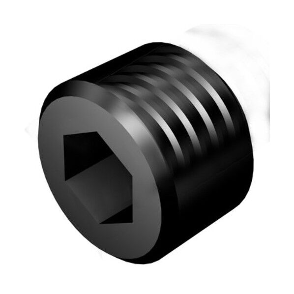 プラグ(810) 5541 031-01 1点