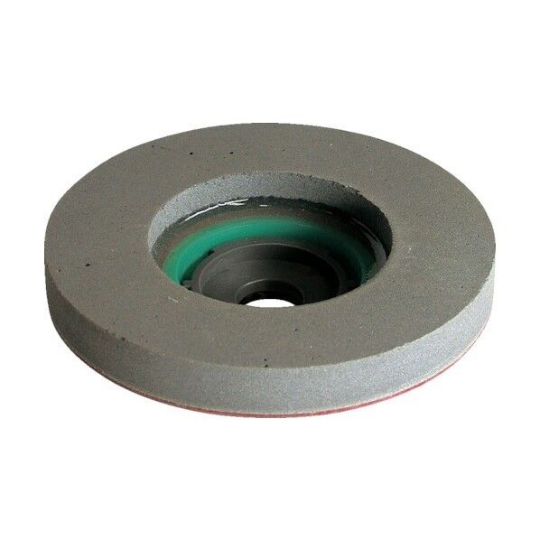 SG PVAディスク 100パイ #1000