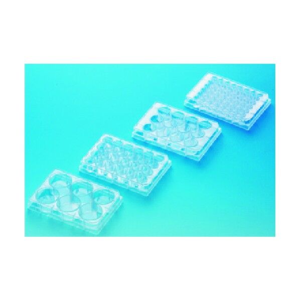 マルチウェルプレート 6ウェル1 50包